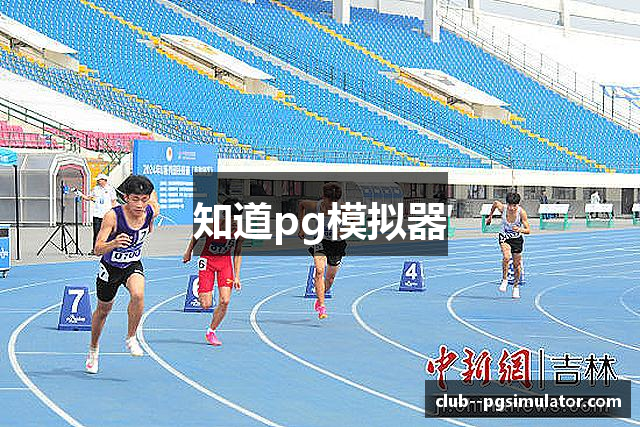 知道pg模拟器